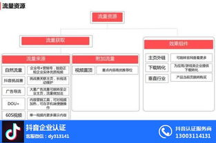 抖音运营人气提升策略与专业咨询支持