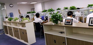 湖南企业管理咨询行业 赋能企业成长，驱动区域经济新篇章